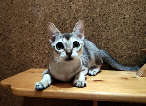 Маруся в гостинице для животных ЗооХутор